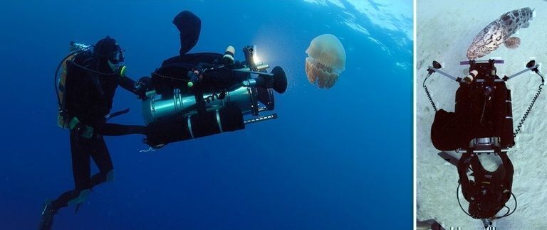 Una inmersión profunda en 8K: el director de fotografía submarino Pawel Achtel habla sobre la nueva Era del cine de alta resolución